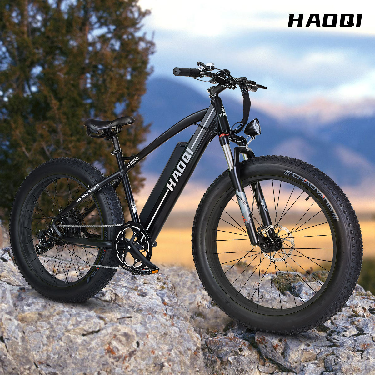 Haoqi Electric Bike Store (@haoqiebike 