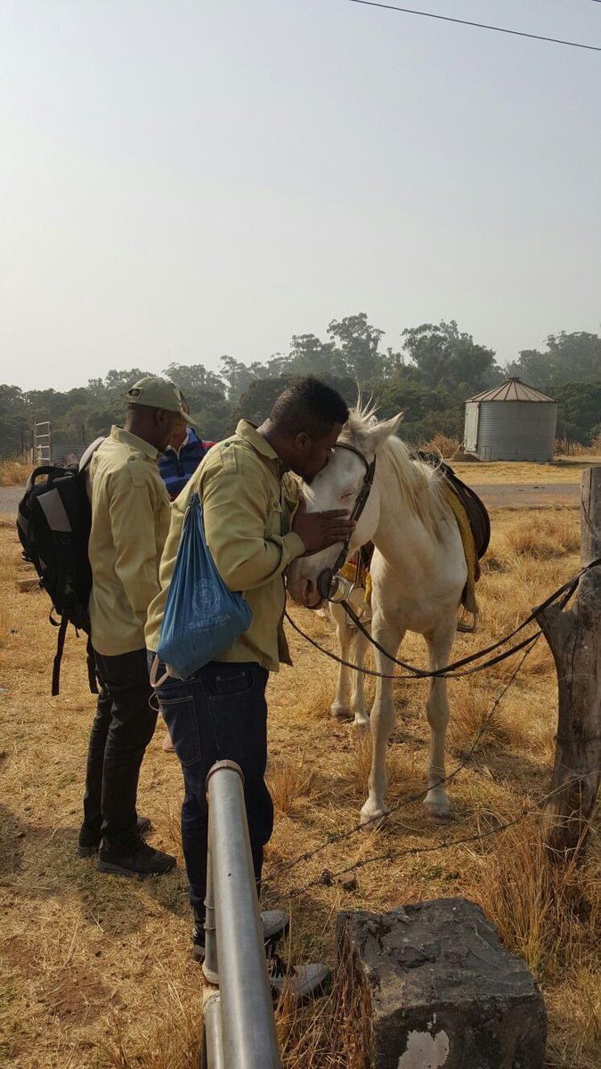 Divineze's tweet photo. Thank God for a successful NYSC pop
Currently chilling in obudu cattle ranch so I can flex my last alawee
#CrossKopa https://t.co/LTs7Z57tV7