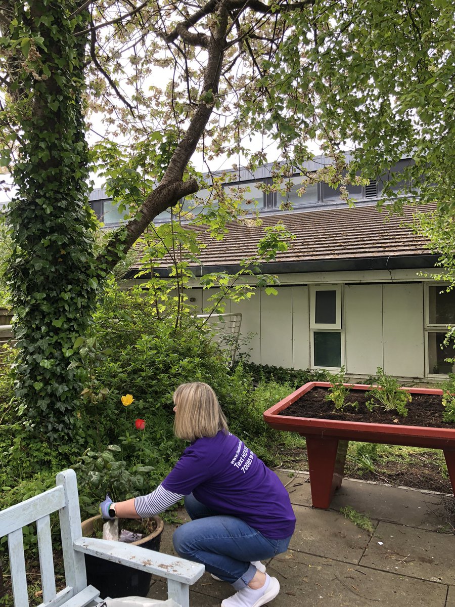 Heads On tweet media