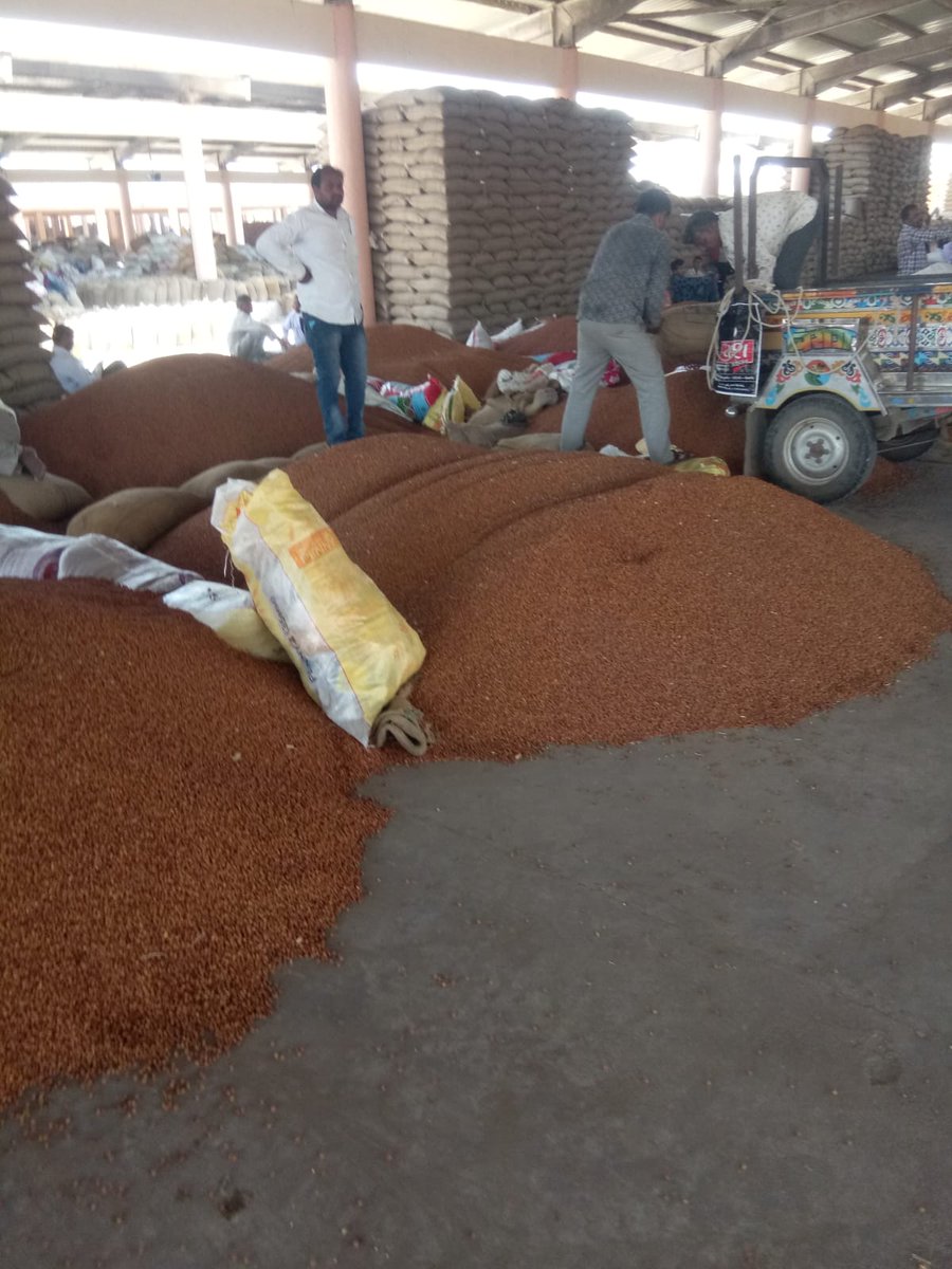 dso_dwarka's tweet photo. આજરોજ, APMC, ખંભાળીયાની મુલાકાત લઇ કર્મચારી તથા ગ્રેડરને ગ્રેડીંંગ કરવા, માર્ગદર્શિકા અનુસાર જ કામગીરી કરવા, બાકી રહેલ ખેડૂતોને SMS કરવા તથા ખરીદેલ ચણાને વેરહાઉસમાં ઝડપથી શિફ્ટ કરી, ચૂકવણું ઝડપથી કરવા ખાસ સુચના આપવામાં આવી. @COLLECTORDWK @ddodevbdwarka @info_dbd @tmdholakia https://t.co/G6a5rDgumB