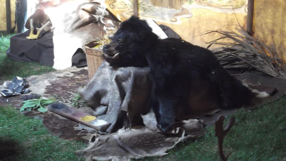 Pegasus Academy Trust tweet media