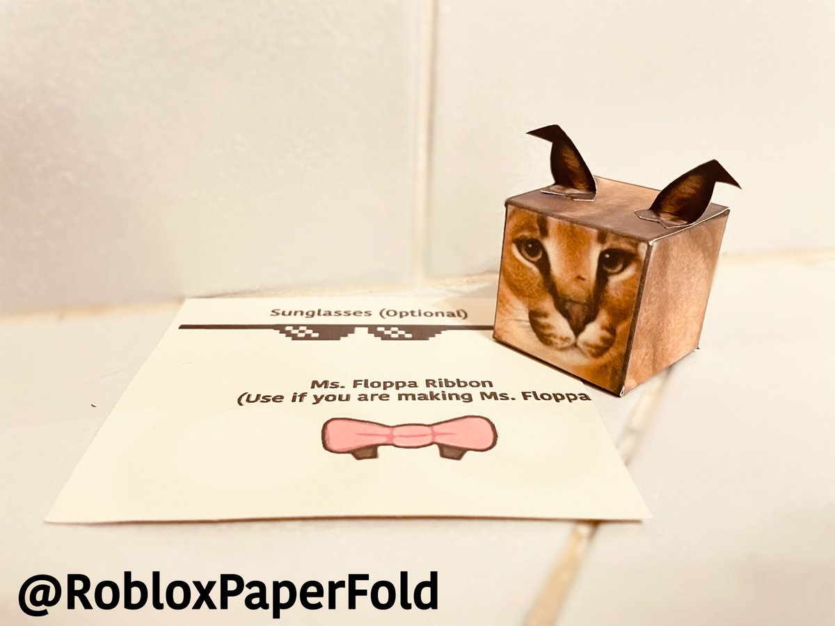 RobloxPaperFolds (Closed for now 10/10) on X: Floppa from “Raise
