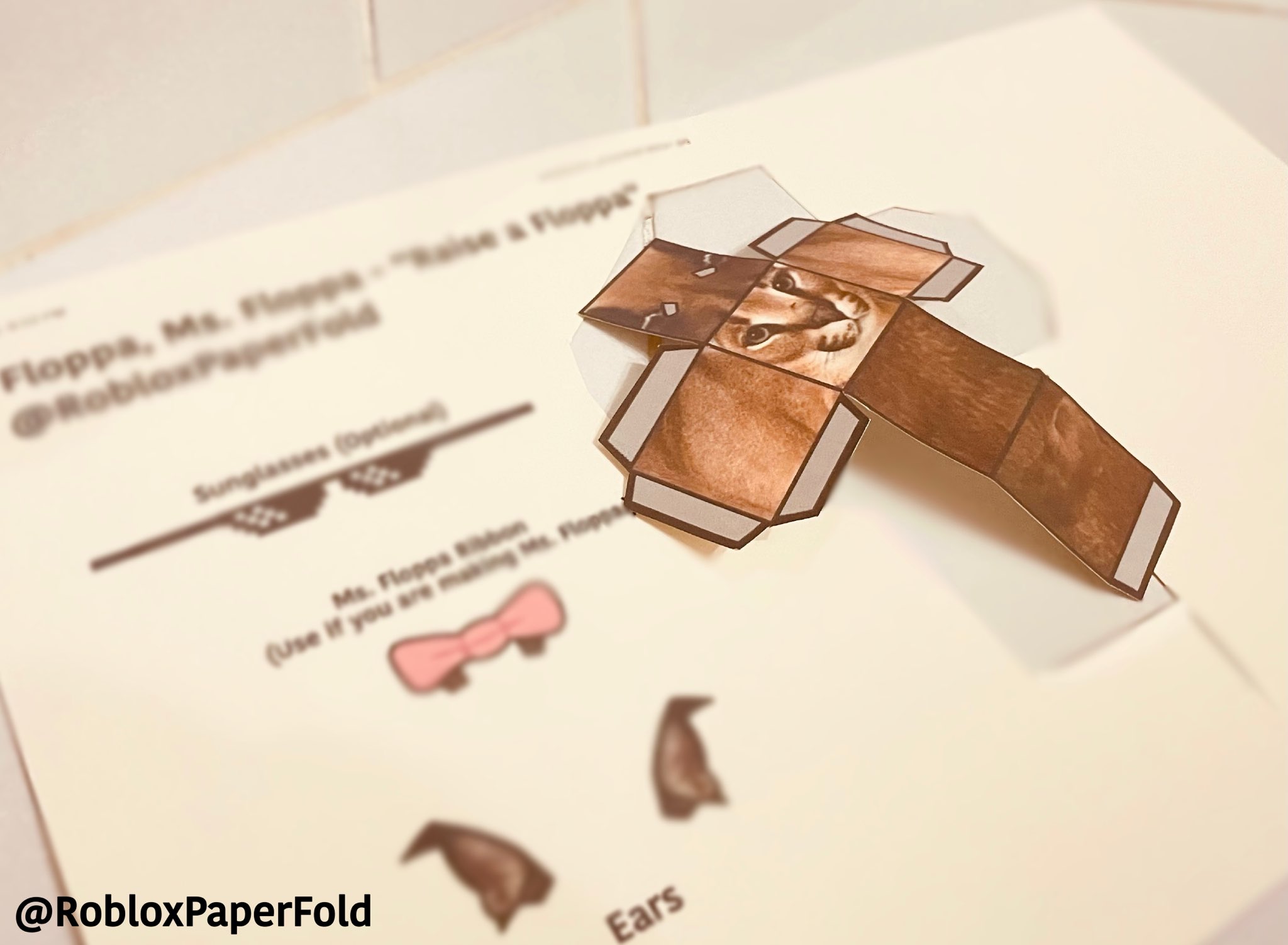 RobloxPaperFolds (Closed for now 10/10) on X: Floppa from “Raise a Floppa!”  #Roblox #papercraft  / X