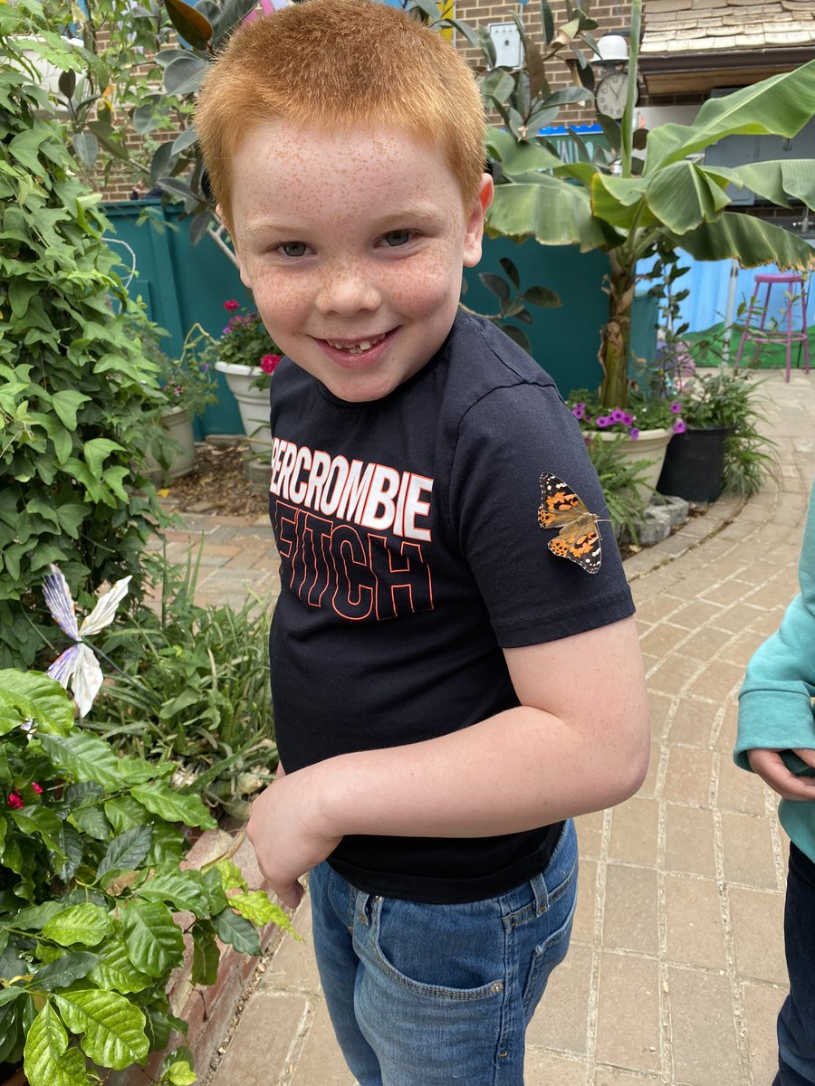 🔥🔥🔥Ss had a wonderful day at the MSU Butterfly House #butterfly #fieldtrip #SpartanNation #PackPride .<a href="/HowellTFE/">Three Fires Elementary</a>.<a href="/HowellMISchools/">Howell Schools</a>