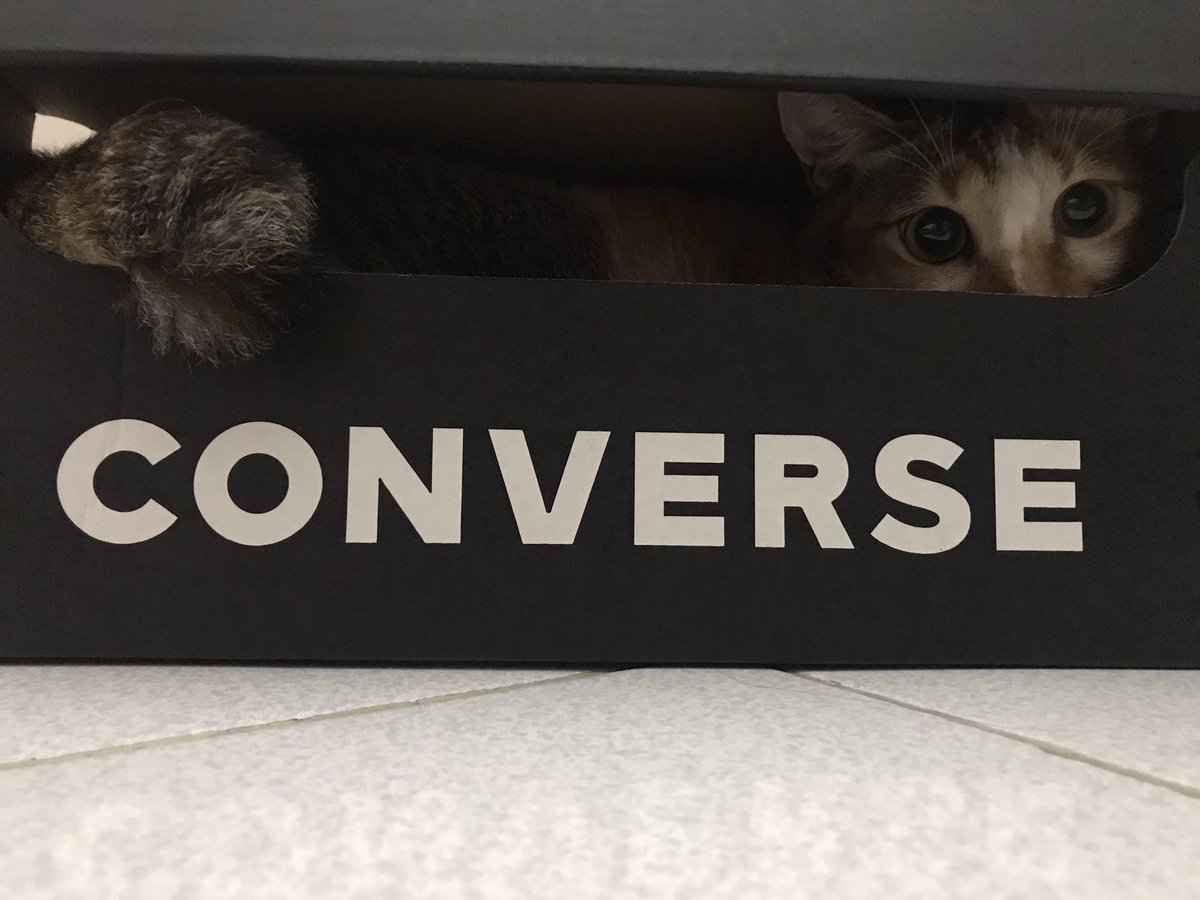 cheki oyip cayo tweet media