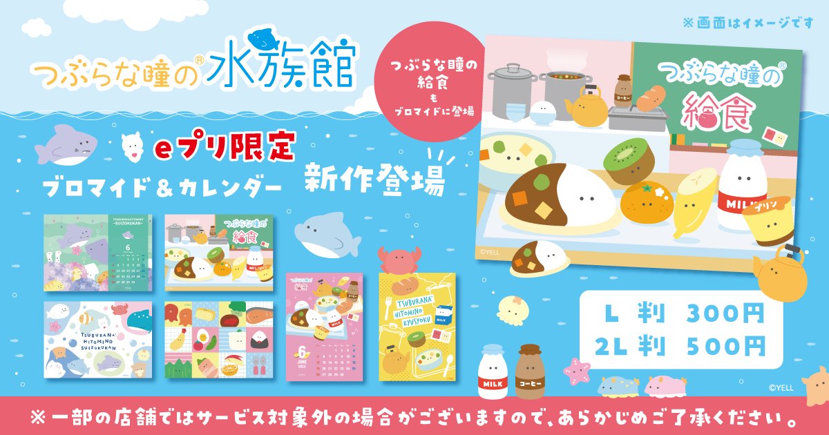 つぶらな瞳の仲間達【公式】🌟総選挙開催中🌟 on X: つぶらな瞳の仲間達【公式】🌟総選挙開催中🌟 on X: