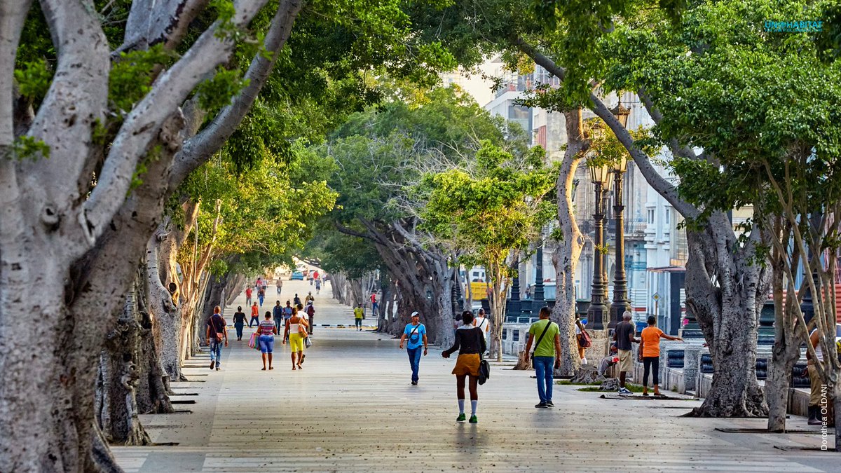 #DYK Cuba is the first country in the region and the second worldwide to report a State Plan in the implementation of the #NewUrbanAgenda? Learn more about the progress towards the #NUA in the country with support from UN-HABITAT here:
👉bit.ly/36TTes6