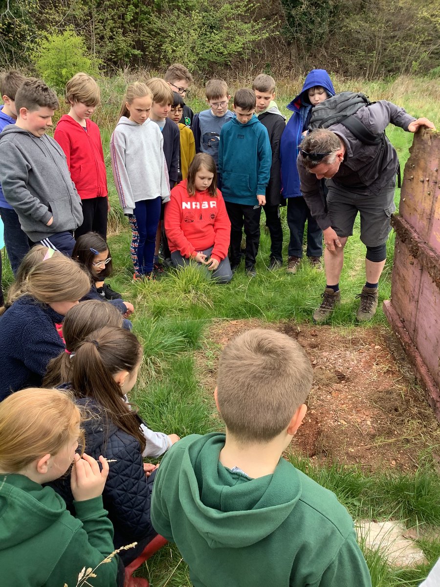 blackhallPS's tweet photo. P6/5 more photos from our outdoor learning.
#earthcalling https://t.co/FNNdsT5dI7