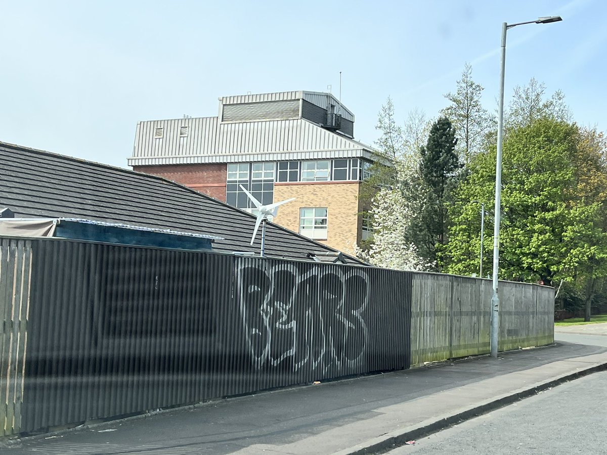 Rosa Zambonini tweet media