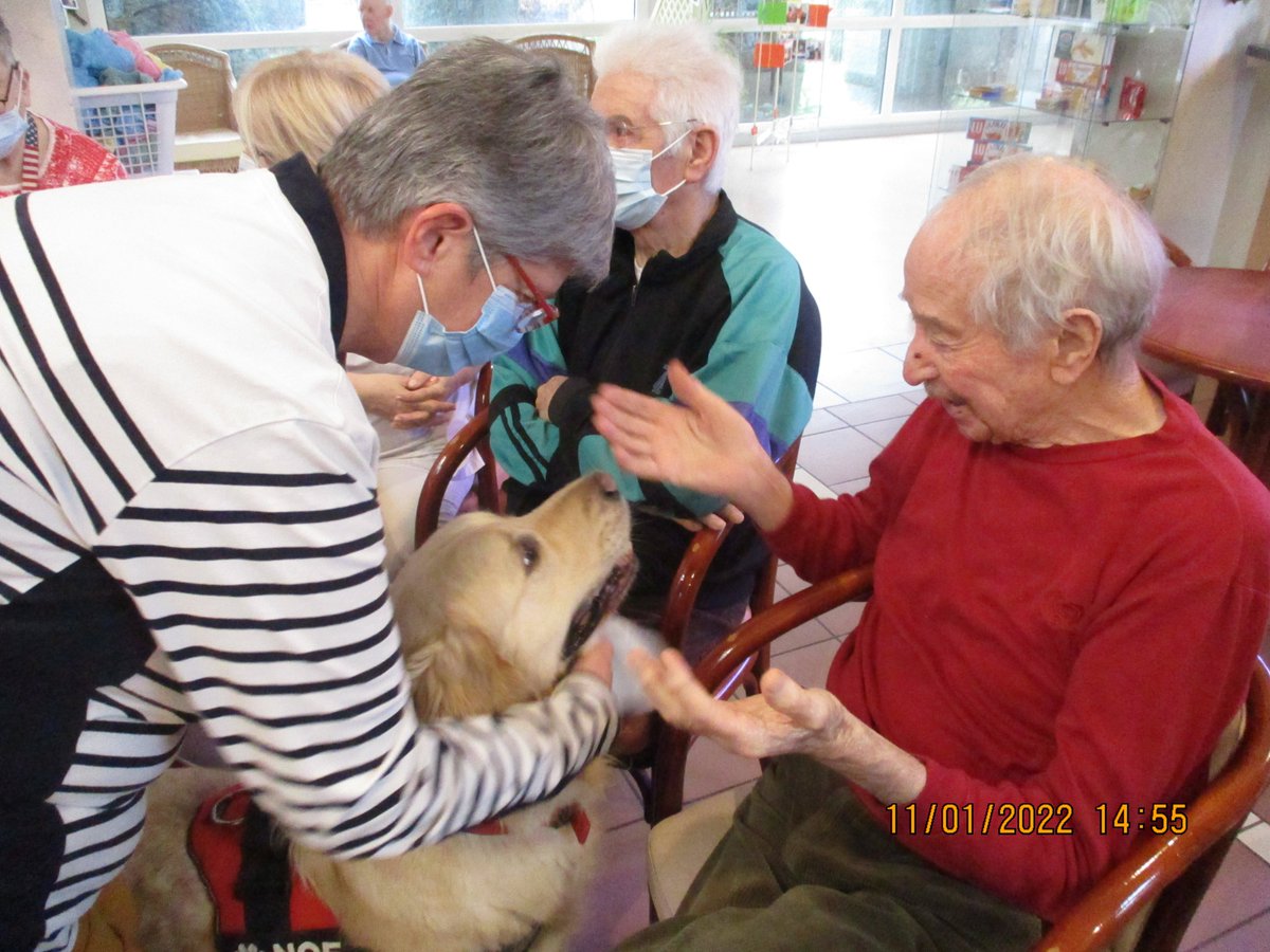 CHFECAMP's tweet photo. Une Fois par mois, les résidents du Bois Martel reçoivent la visite des bénévoles de l’association canine de Fauville-en-Caux, accompagnés, pour le plus grand plaisir des résidents, de 3 à 4 chiens de tailles et de races différentes.
En savoir + 👉https://t.co/uY7oAqOt1X https://t.co/P6czJBgtD7