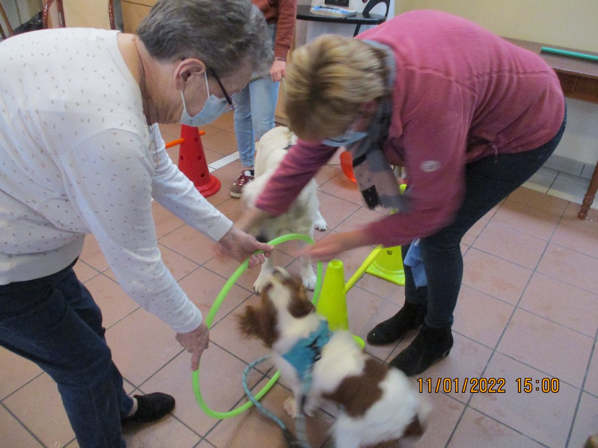 CHFECAMP's tweet photo. Une Fois par mois, les résidents du Bois Martel reçoivent la visite des bénévoles de l’association canine de Fauville-en-Caux, accompagnés, pour le plus grand plaisir des résidents, de 3 à 4 chiens de tailles et de races différentes.
En savoir + 👉https://t.co/uY7oAqOt1X https://t.co/P6czJBgtD7