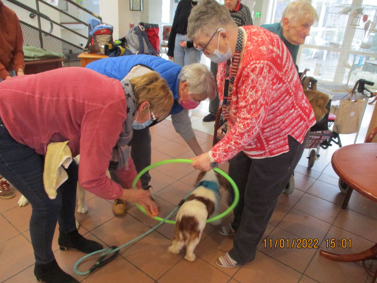 CHFECAMP's tweet photo. Une Fois par mois, les résidents du Bois Martel reçoivent la visite des bénévoles de l’association canine de Fauville-en-Caux, accompagnés, pour le plus grand plaisir des résidents, de 3 à 4 chiens de tailles et de races différentes.
En savoir + 👉https://t.co/uY7oAqOt1X https://t.co/P6czJBgtD7