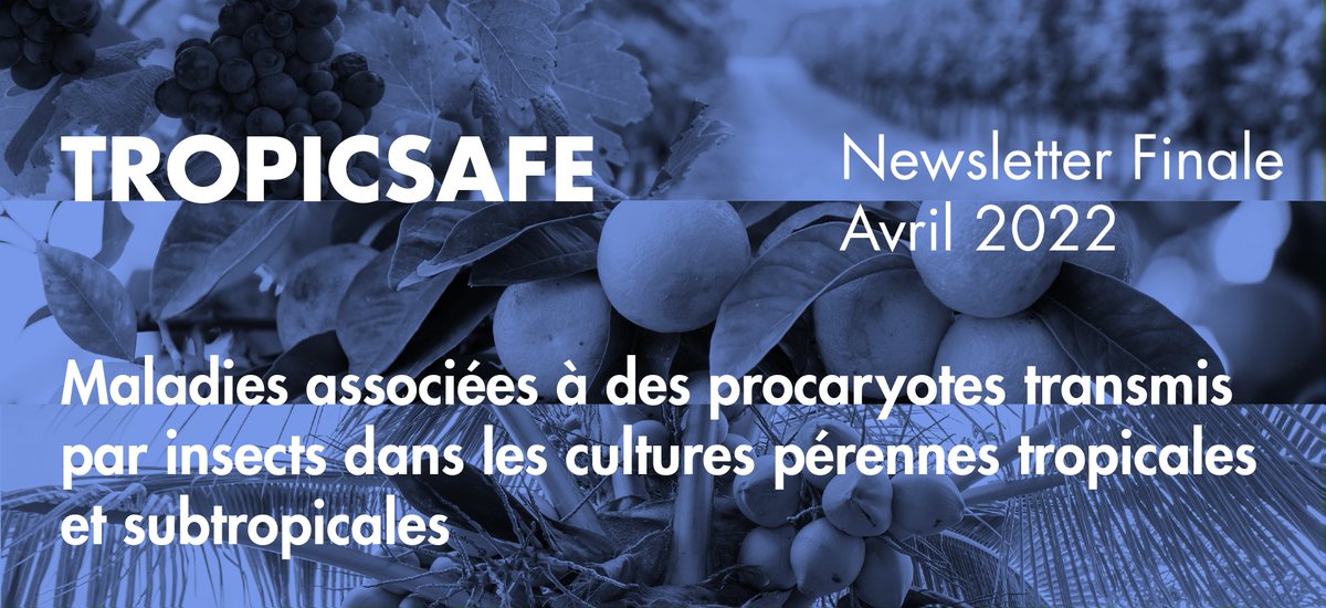 tropicsafeEU's tweet photo. Comment clôturer un projet après 5 ans de travail acharné ? C'est difficile... mais nous vous disons tout dans la dernière newsletter 💌
Vous pouvez le lire ici !
https://t.co/ExwuNNju2u https://t.co/473UbussXt