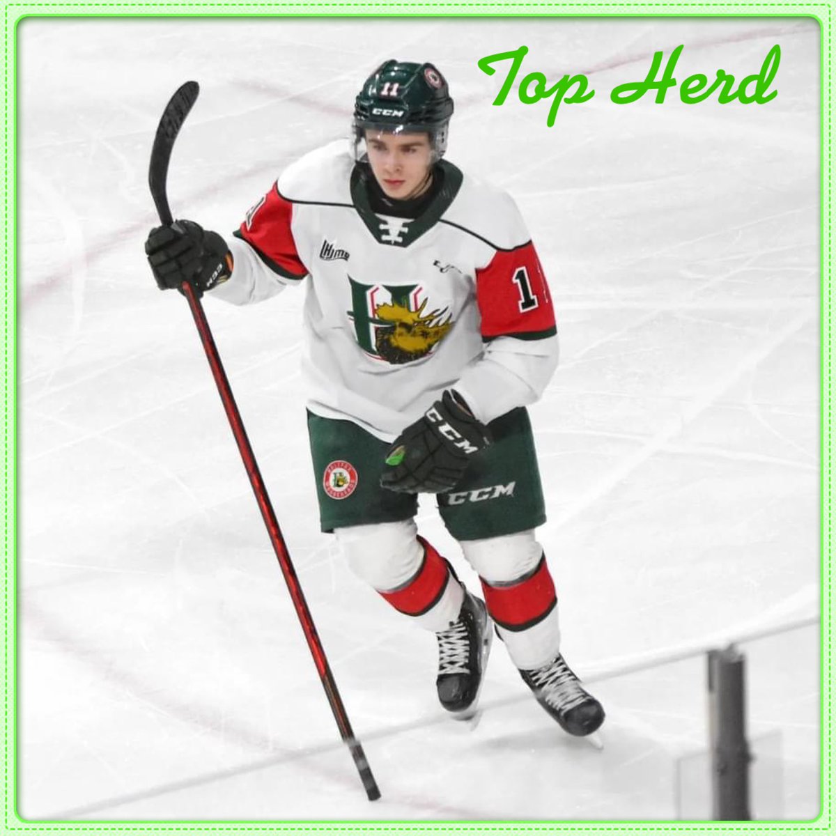 MC_MooseCountry's tweet photo. The Moose Country Top Herd for Apr 8, with a hat trick, is Jordan Dumais #topherd #Halifax #Mooseheads
Photo - Shawn Davidson https://t.co/c0Q5QFNxdI