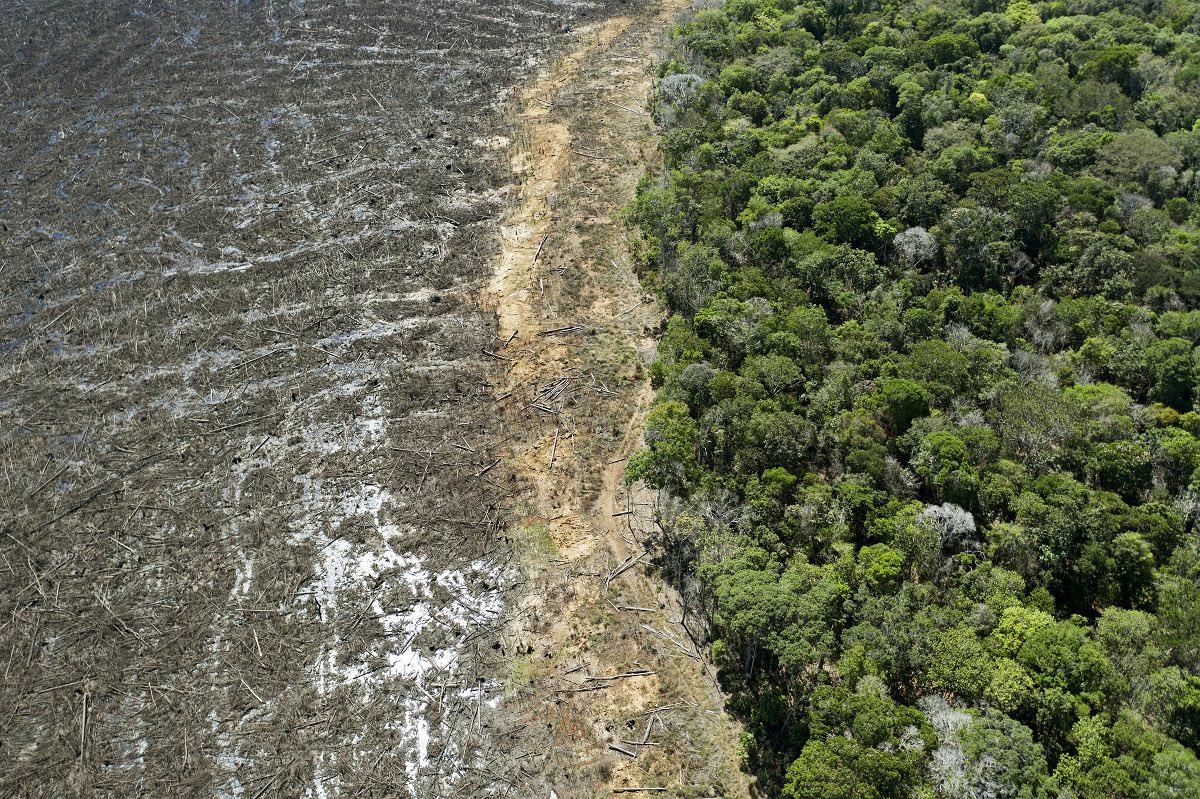 _laterreoff's tweet photo. N’oubliez pas que c’est grâce à eux que vous respirez. Perso j’y suis pour rien, c’est votre #environnement. https://t.co/x3AGKNcKEt