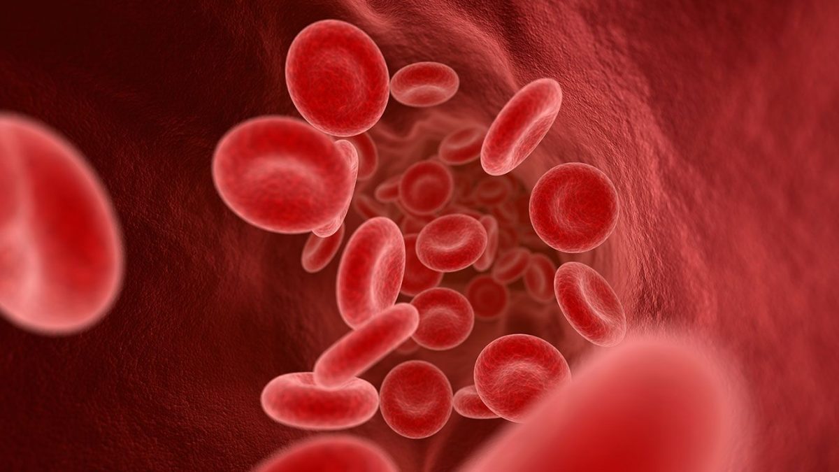 BUONE NOTIZIE per i pazienti!
La raccolta di globuli rossi in Italia a marzo 2022 è leggermente cresciuta.
Tutti i dati del Centro Nazionale Sangue e la nostra consueta analisi
donatorih24.it/2022/04/28/rac…