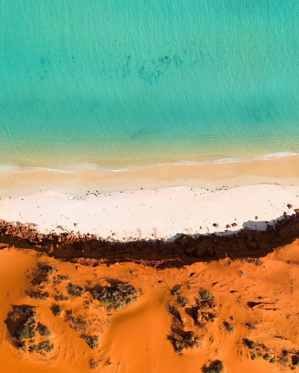 Travelmarvel_TM's tweet photo. Discover #WesternAustralia’s #SharkBay, where rugged coastlines meet seas brimming with marine life. Stand in the shallows and witness a wild bottlenose dolphin feeding at #MonkeyMia. #Travelmarvel #Traveliscalling #Wanderoutyonder https://t.co/D1DsWiK8ON