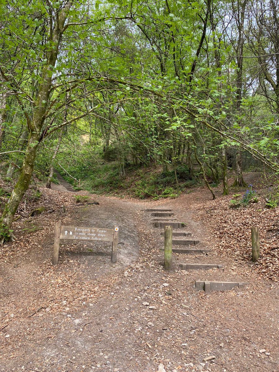 Laura Amy Johnson tweet media