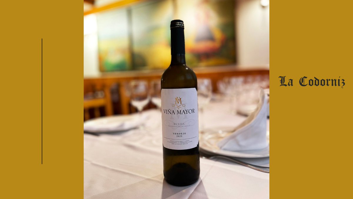 𝗩𝗶𝗻̃𝗮 𝗠𝗮𝘆𝗼𝗿 𝗩𝗲𝗿𝗱𝗲𝗷𝗼, un #vino perfecto para acompañarlo con pescados, mariscos y ensaladas. 
Elaborado a partir de uva Verdejo y Sauvignon Blanc. Cuando lo tomes saborearás un vino fresco, ligero y sedoso.  ¡Está delicioso! 😋

#Restaurante #Turismo