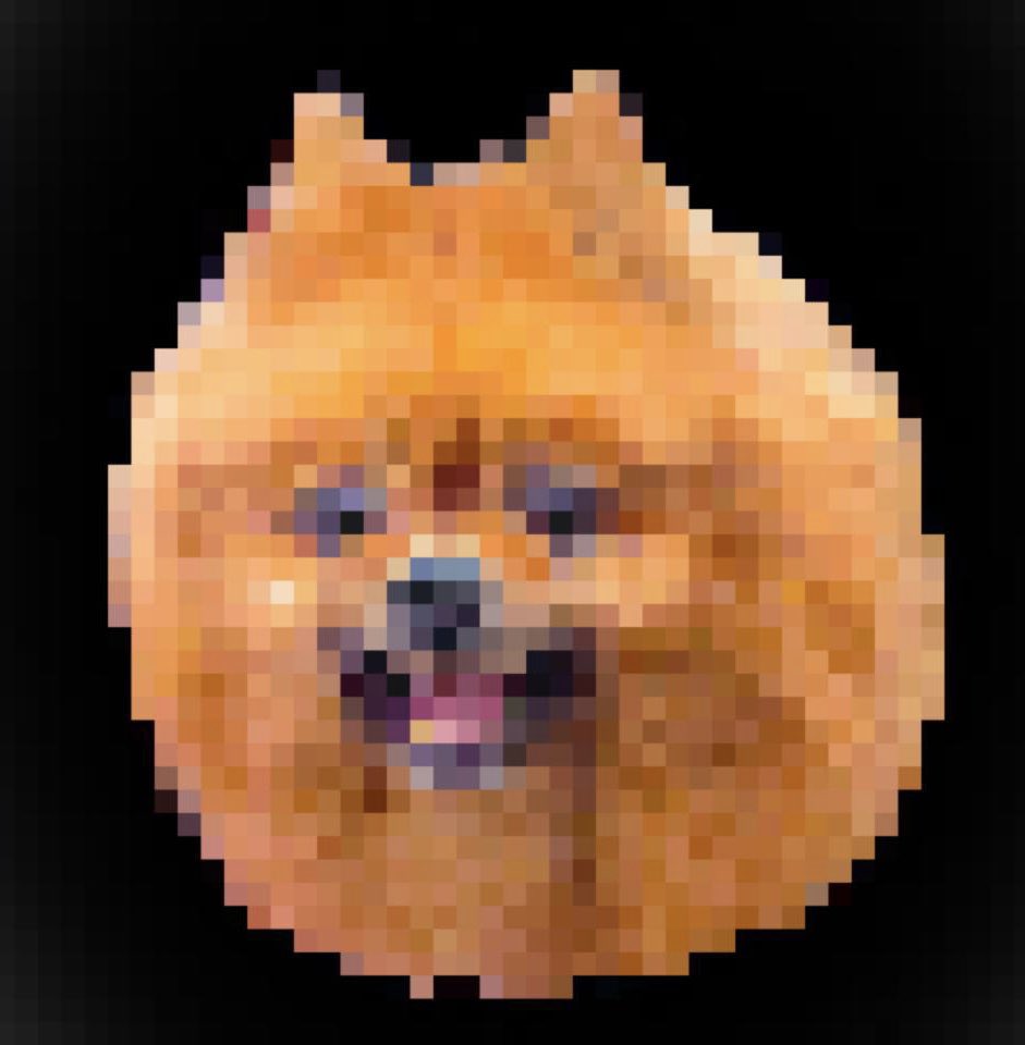 duchello21's tweet photo. @TodoNFTs Hey frens!
Welcome to my gallery of 365 different states of my dog Duc aka Duchello. Every new day makes a new mood for him.
This collection is made with AI, which shows states by different artistic styles.
10% of net income will go to dog’s shelters.

https://t.co/EuGgkUZ1eS https://t.co/KadyfHNa32