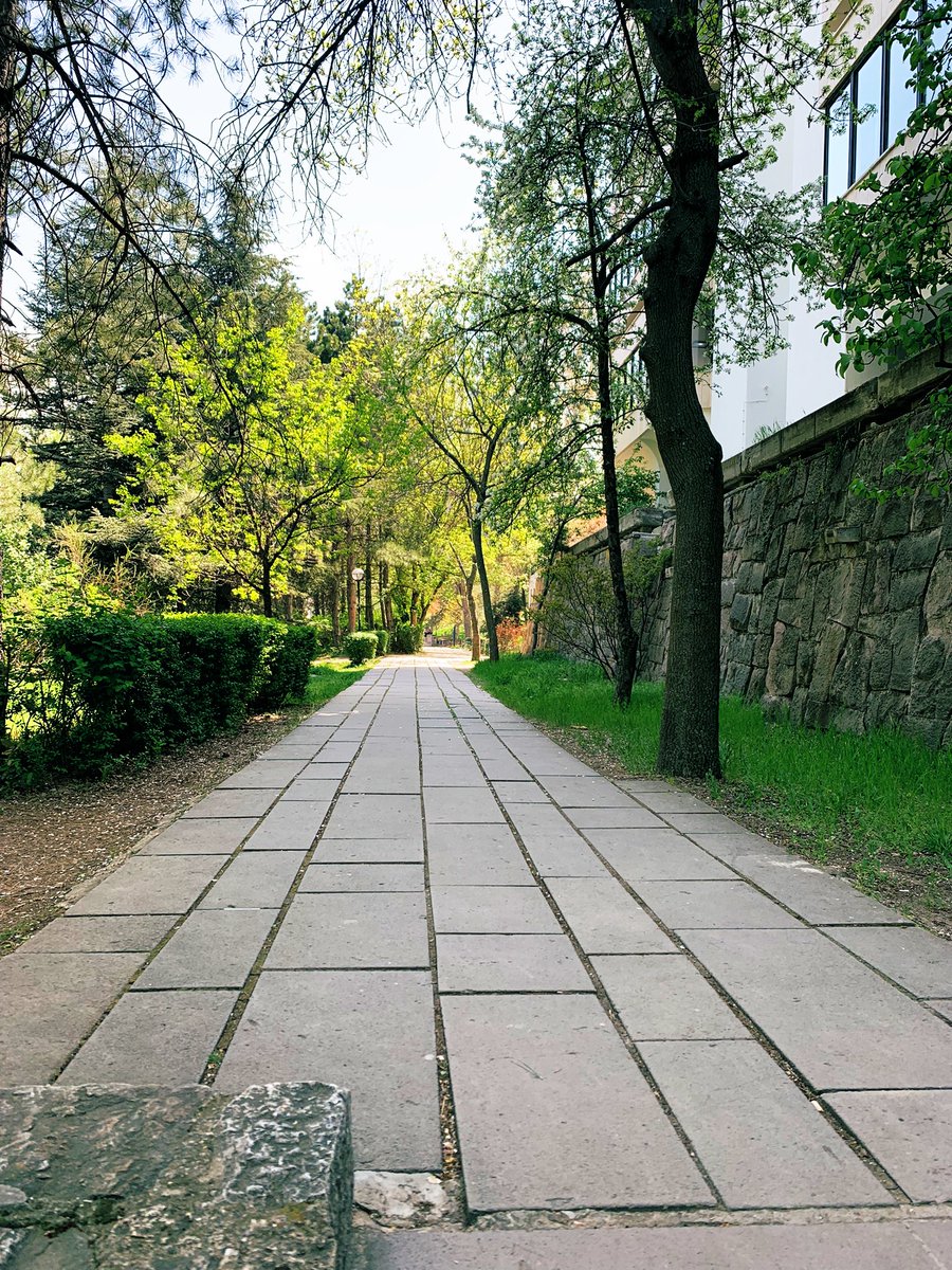 pitagms's tweet photo. Şöyle güzel bir hava varken kütüphanede ders çalışanda ne bileyim…. https://t.co/JyIjxUTlV6