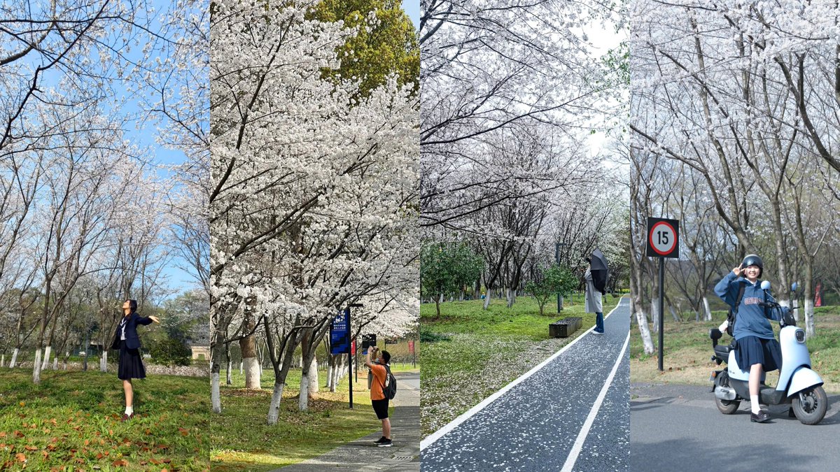 CAAofficialEN's tweet photo. An exclusive spring tour map of #CAA is here! With spring flowers blooming all over campus, CAA is full of vigor and vitality. Letโs take a campus tour and make the most of this joyous season! #Art #University #BeautifulCAA #ThursdayVibe https://t.co/52XZCpoPXx