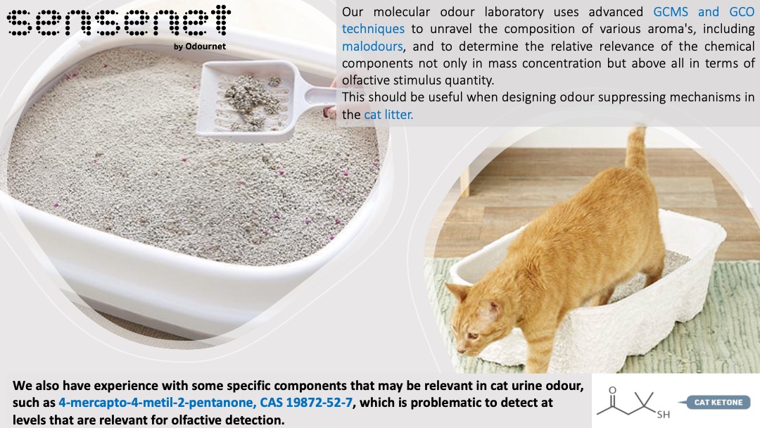 Sensenet_group's tweet photo. Interested in understanding the chemistry of the flavour of a used cat toilet in order to have a system to quantify the effects of cat litter?

Find out more: https://t.co/svb42TPDKC

#petcare #animalcare #sensory #gcms #odourmanagement #catcare #petindustry https://t.co/ryhSP9P85M