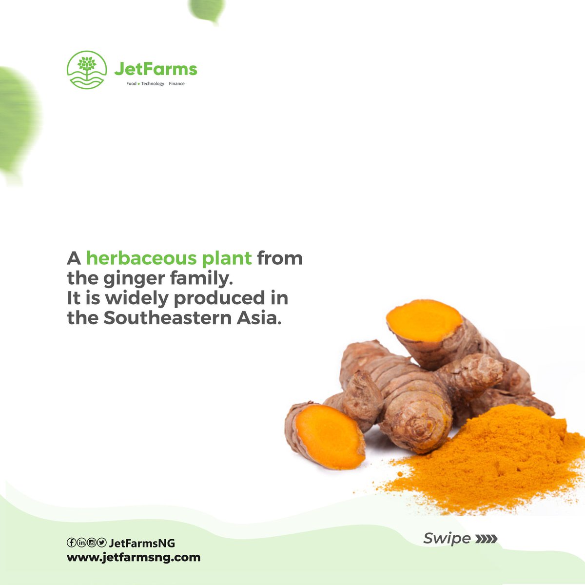 jetfarmsng's tweet photo. Tumeric does more than you think 😉.
Stay with us to learn more.
#jetfarmsng #tumeric #tumericbenefits https://t.co/n1LGreAHUf