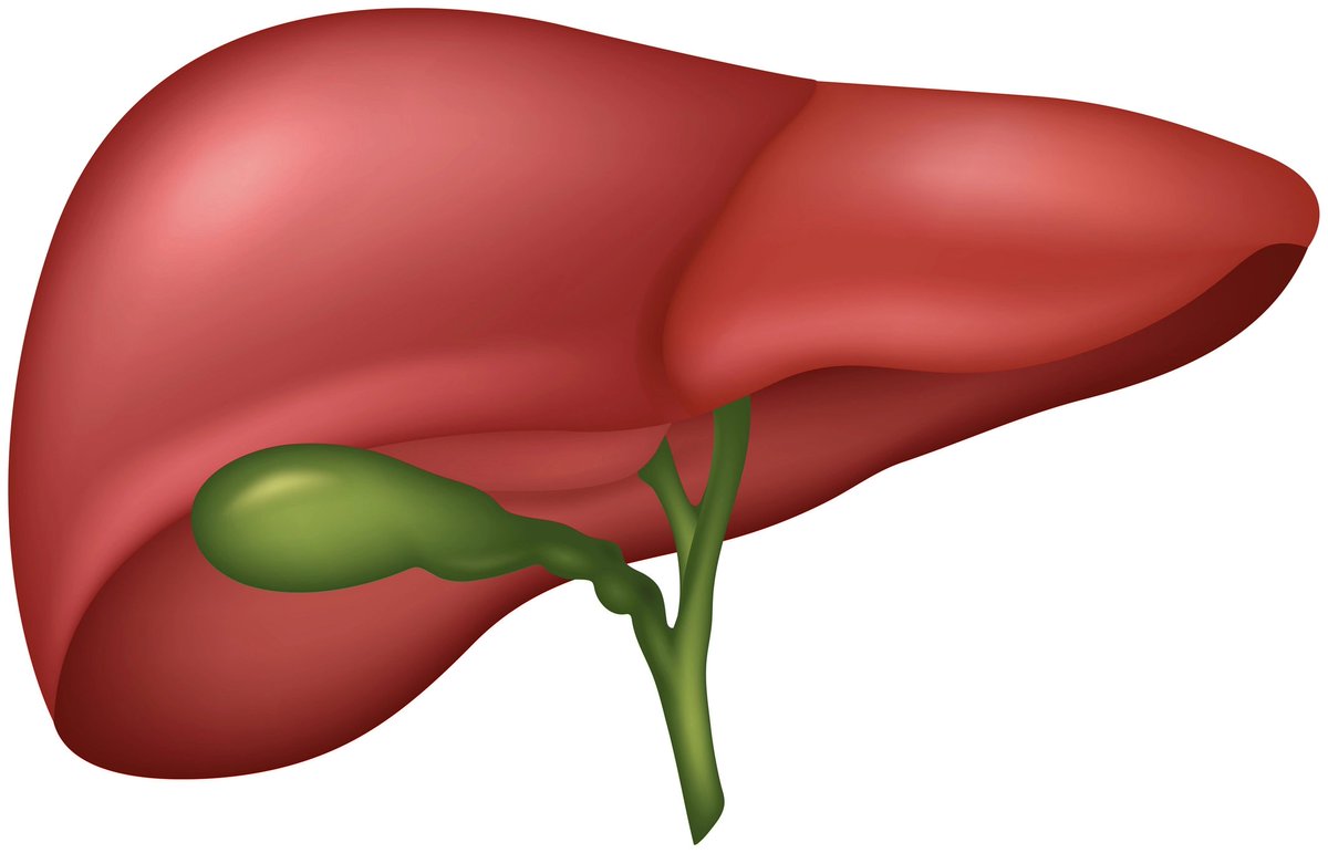Maja Thiele (@majathiele) on Twitter photo Yay! The LIVER emoji is coming soon, to a smartphone close to you 🤳
doi.org/10.1002/hep.32…
Curtesy of <a href="/HEP_Journal/">HEPATOLOGY Journal</a> Yay! The LIVER emoji is coming soon, to a smartphone close to you 🤳
doi.org/10.1002/hep.32…
Curtesy of <a href="/HEP_Journal/">HEPATOLOGY Journal</a>