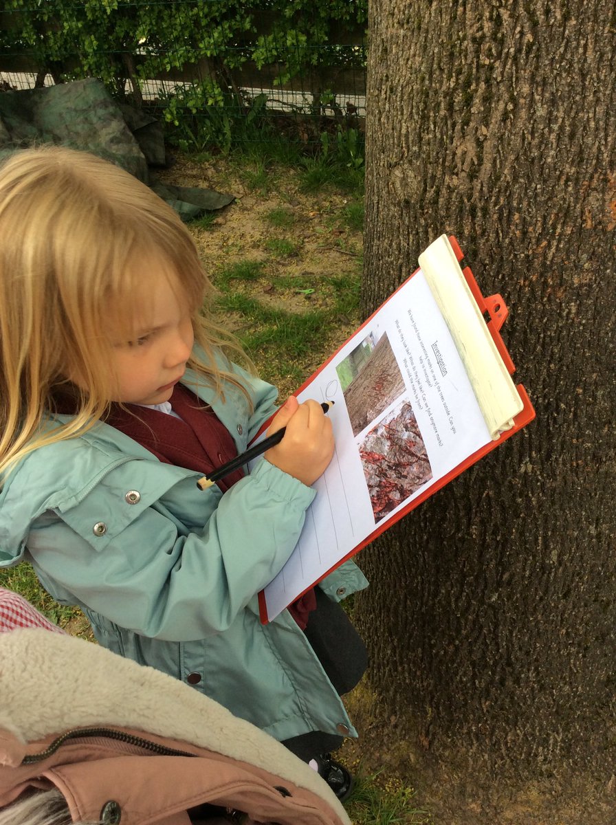 MelthamMoor's tweet photo. We found a mark on one of our trees yesterday, and today we have done some amazing investigating and writing about the mark! We have been describing the mark, as well as coming up with our theories of who or what could have left the mark. #MMReception #MMEnglish #MMScience https://t.co/LWRt1k6289