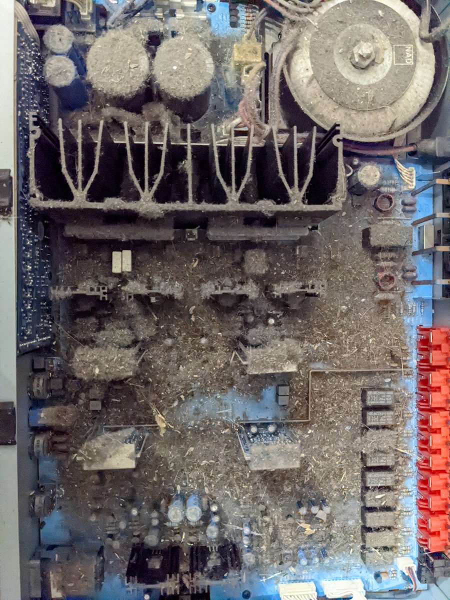 ScottJCoutts's tweet photo. Hmm.. My amp was crackling so I opened it up to investigate. I think it might need a light clean. https://t.co/6w45CiWQ4k