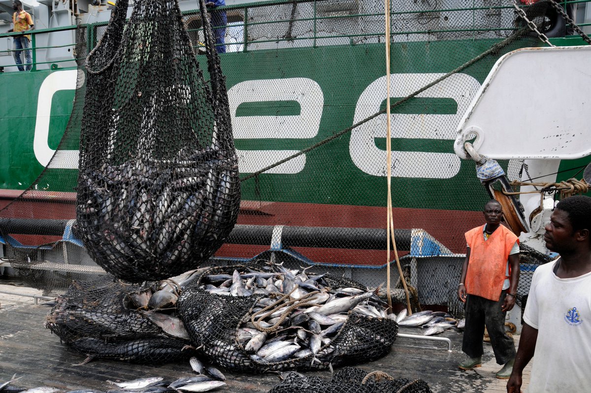 stopillegalfishing.com/events/webinar…

Please join <a href="/pewenvironment/">Pew Environment</a> and <a href="/S_I_F/">Stop Illegal Fishing</a>  for a webinar  the <a href="/FAOfish/">Fisheries & Aquaculture</a> Voluntary Guidelines on #Transshipment and the upcoming Technical Consultation.

📅May 5th, 3pm CET
🔗Register cvent.me/A2yEDO

#StopIllegalFishing #IUUFishing #transhipment