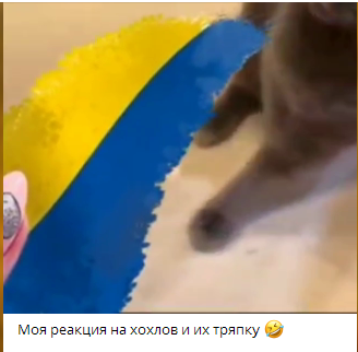 В том что я нищий тупорылый и необразованный говноед виноваты украинцы.
В том, что рашка убогое вонючее говно тоже виноваты украинцы. Поэтому я ненавижу украинцев.