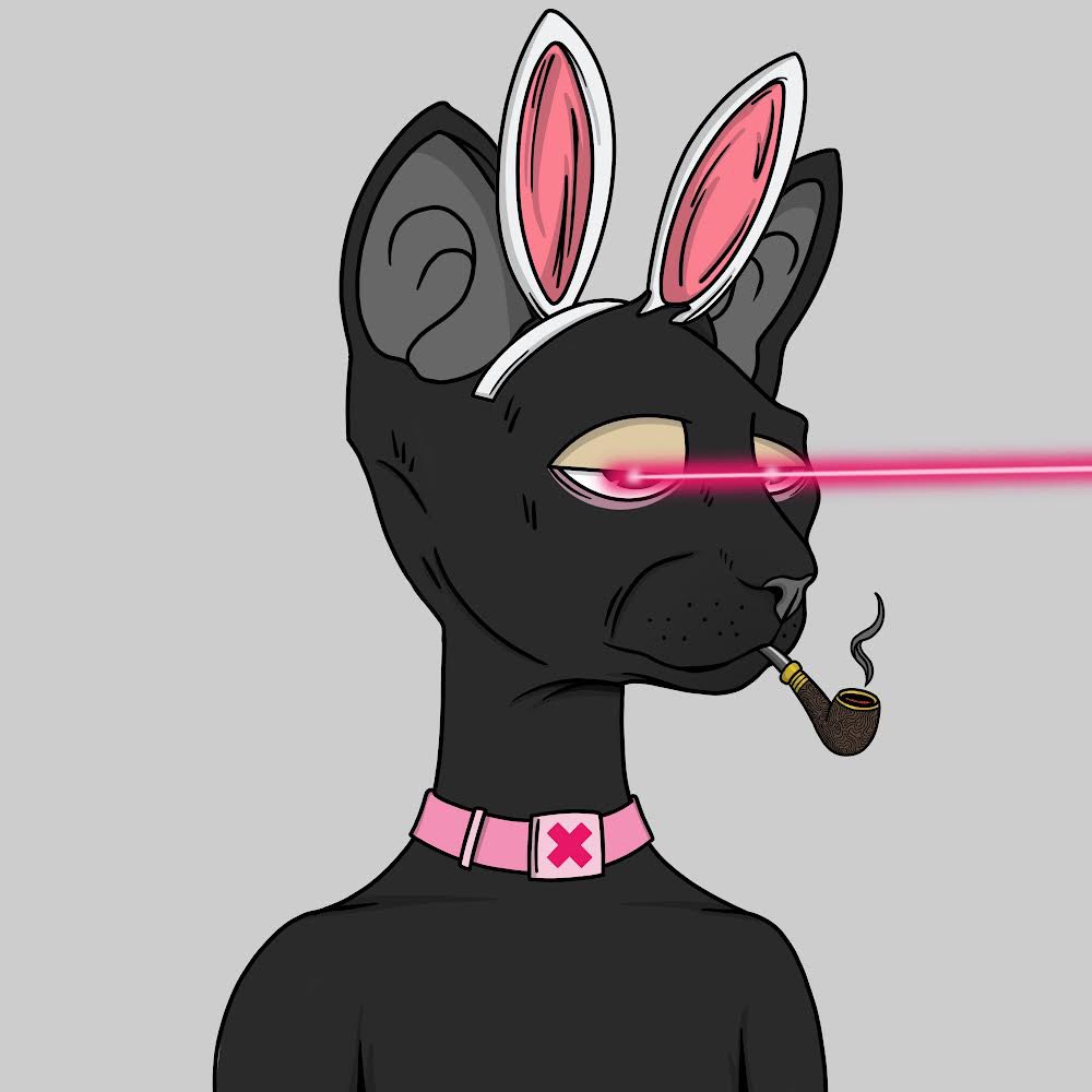 Aayman.SOL tweet media