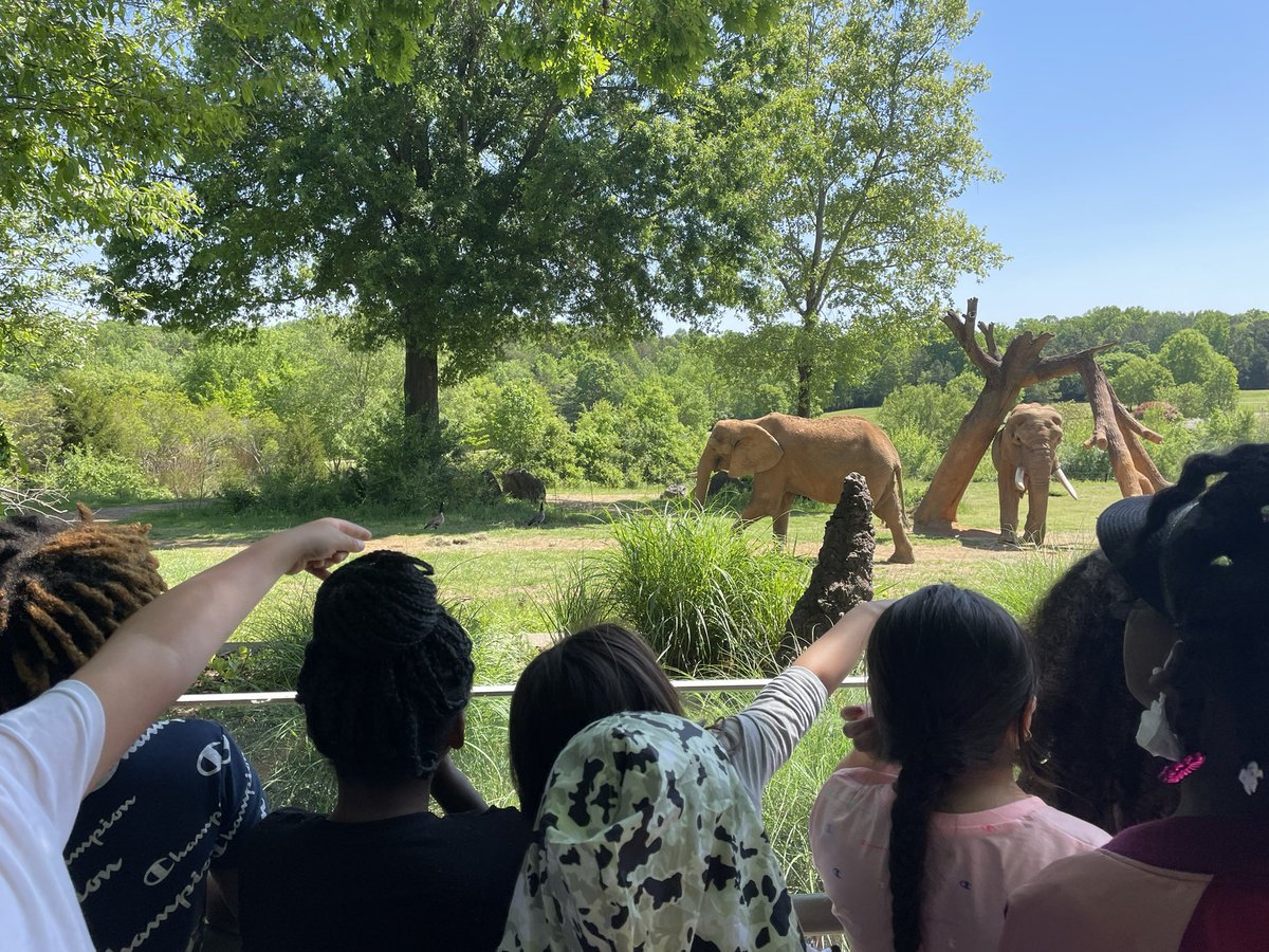 Mrs_BGunter's tweet photo. We LOVED the zoo! Kiddos were so excited to see the animals we have been learning about! #learngrowlead #fieldtrip #zoo #cees #lexcs https://t.co/PX0E7oJXwl