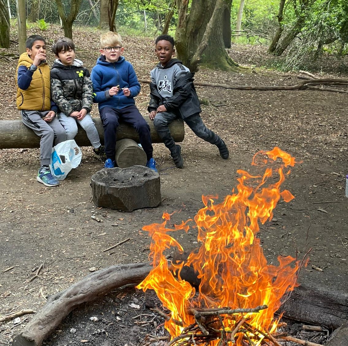 BansteadPrep's tweet photo. #Year3 having wild outdoor adventures at High Ashurst! #schooltrip #outdoorlearning #freetobeme #BPS_Values #Adaptable @SOLDoutdoors https://t.co/rshyy48UJj