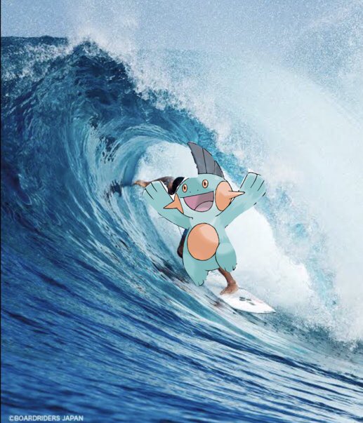 爽太 ヌマクロー信者名前変え忘れたw ヌマクローがサーフィンをやった結果 ポケモンgo ポケモン ぬまくろー くそこら クソコラ さーひぃん サーヒィン T Co Jxykhphibx Twitter