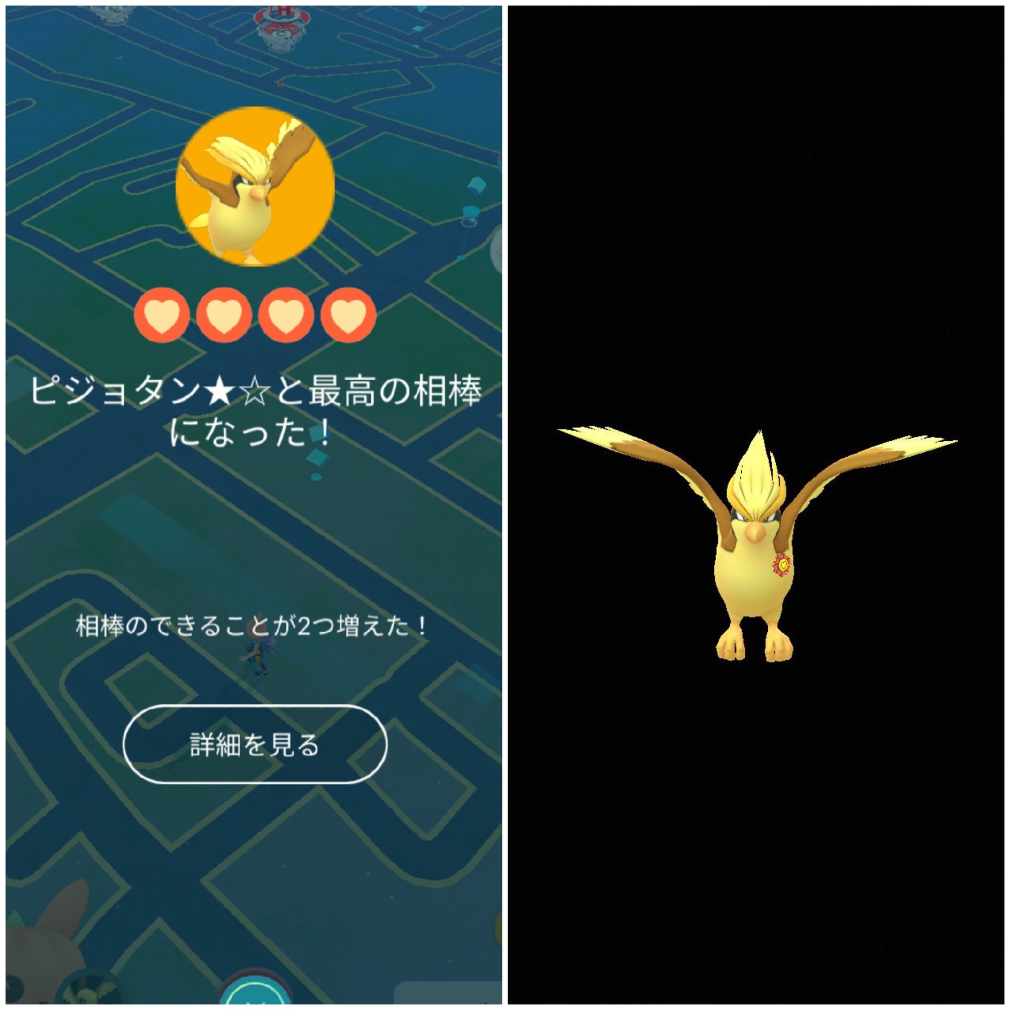 Amazinghisa 今日のポケモンgo活動1 相棒の色違いピジョットにリボン が付きました ジムにツンベアー置いて クマだらけに ポケモンgo ピジョット 色違い リングマ キテルグマ ツンベアー T Co Cf5nrthoko Twitter