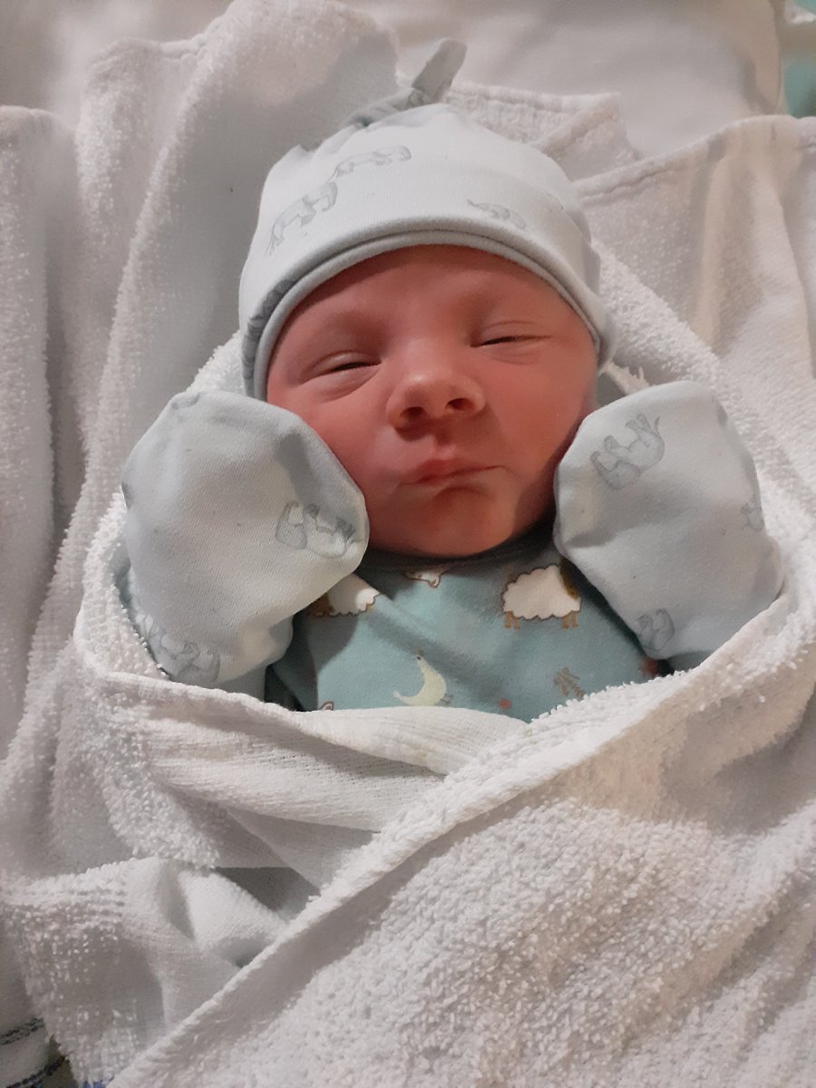 Rebecca F. John tweet media