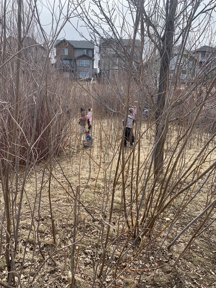 MrsChen_CCS's tweet photo. We used our #WalkingWednesday to clean up our community this week. Students really went for it as they crouched through bushes and dodged between trees. Here are some treasures we found along the way! #EarthDay #communitycleanup @rvsed @CrossingCooper https://t.co/PoWuw8KOCS
