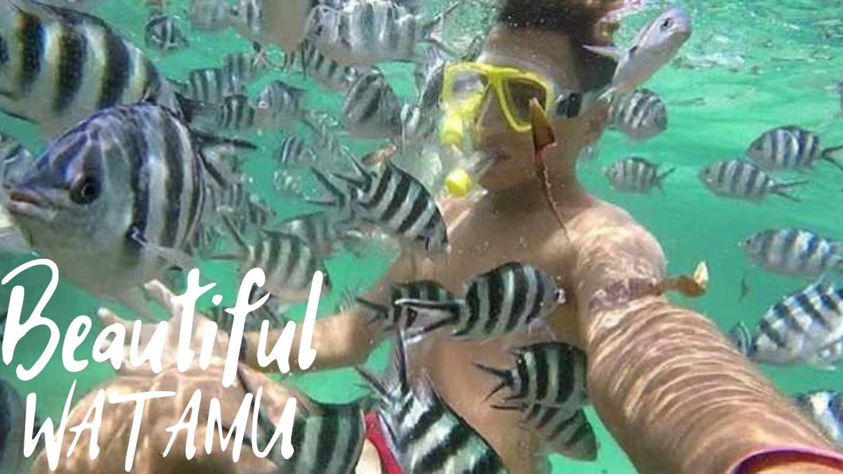 New video on more things to do in Watamu, Kenya up on my YouTube channel. Here is the link. youtu.be/N1vxNvBMMtU #watamu #visitwatamu #tembeakenya #magicalkenya #travel #snorkelling #ocean #wateractivities #wanderlust #adventure #art #youtuber #travelvloger #adventuresofmarie