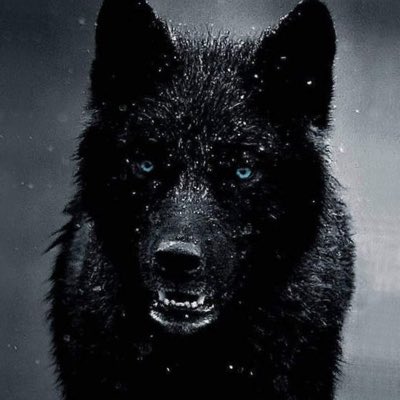 OutboardL's tweet photo. #NewProfilePic https://t.co/5lhpIGeIdg
