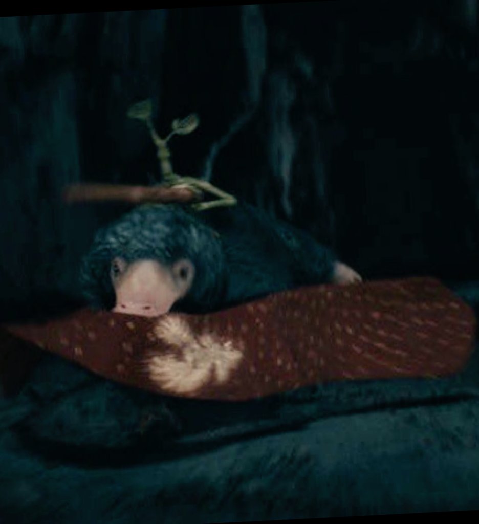 FB_Niffler's tweet photo. ���웅? (반짝이?!) https://t.co/C7mItt5j4s