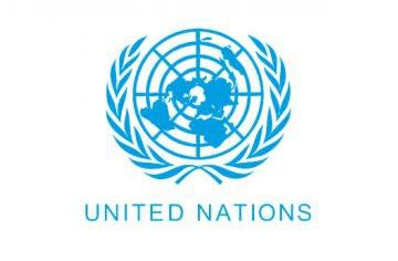 KibromMulugeta7's tweet photo. UN look at your self. 
I condemn the recruiting process of data collectors and interpreters in the UN comission of human rights filters of Tigray Genocide.

There are some members have a strong communication with HIGDEF [Eritrean dictator government] https://t.co/smfheNSZu9