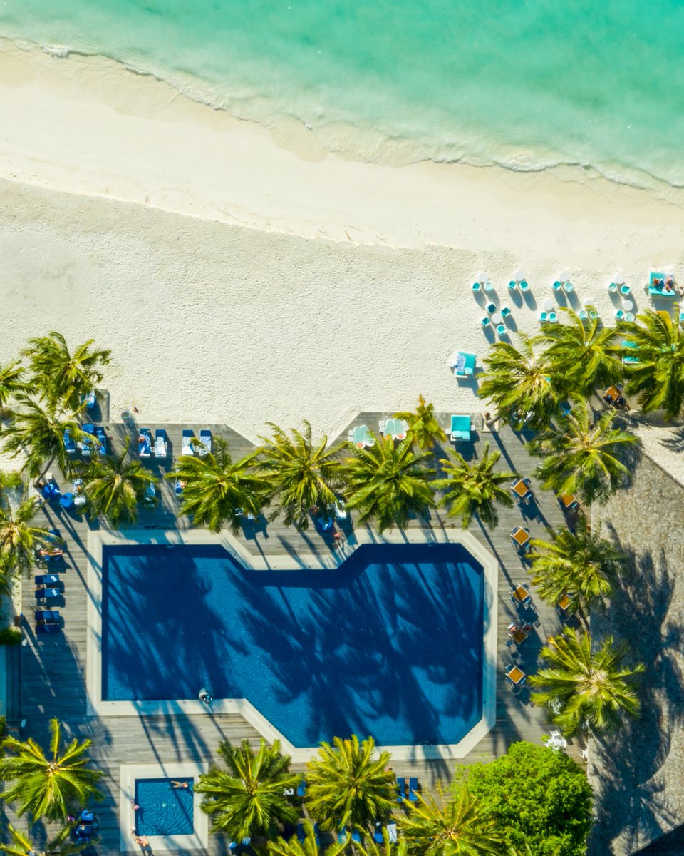 Meeru_MV's tweet photo. Palm trees, poolside views and pure bliss 😍🌴 

#meeruisland #meeru #meerumaldives #beautifuldestinations #poolside #beachlife https://t.co/pxmxEbtAq6