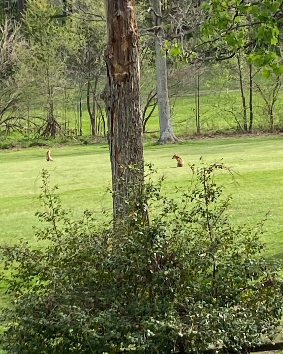 The 2nd Battle for RNGC Open Space heats up. Here’s what you need to know: rescuereston.org/facts-april-28…
#reston
 #OpenSpace