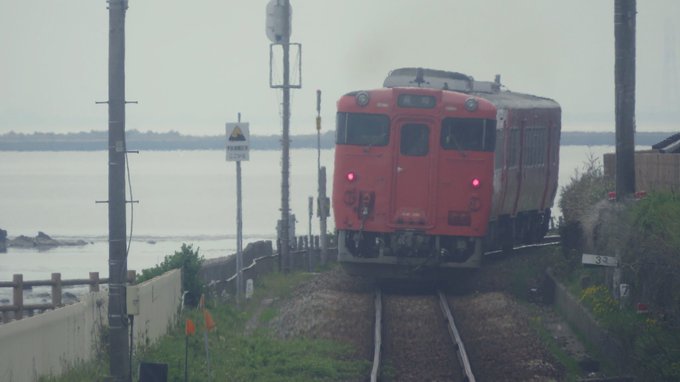 列車も可愛かったしライチョウ先輩もいた 