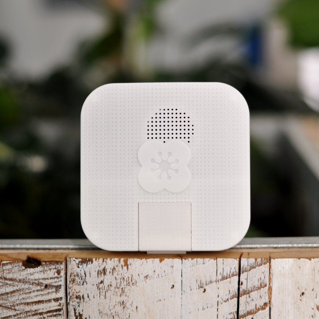 iQ Offices has invested in environmental screening through Poppy without sacrificing design and ambience. Out of sight but peace of mind! Contact us to get Poppy within your private workspace at any of our locations. 💙