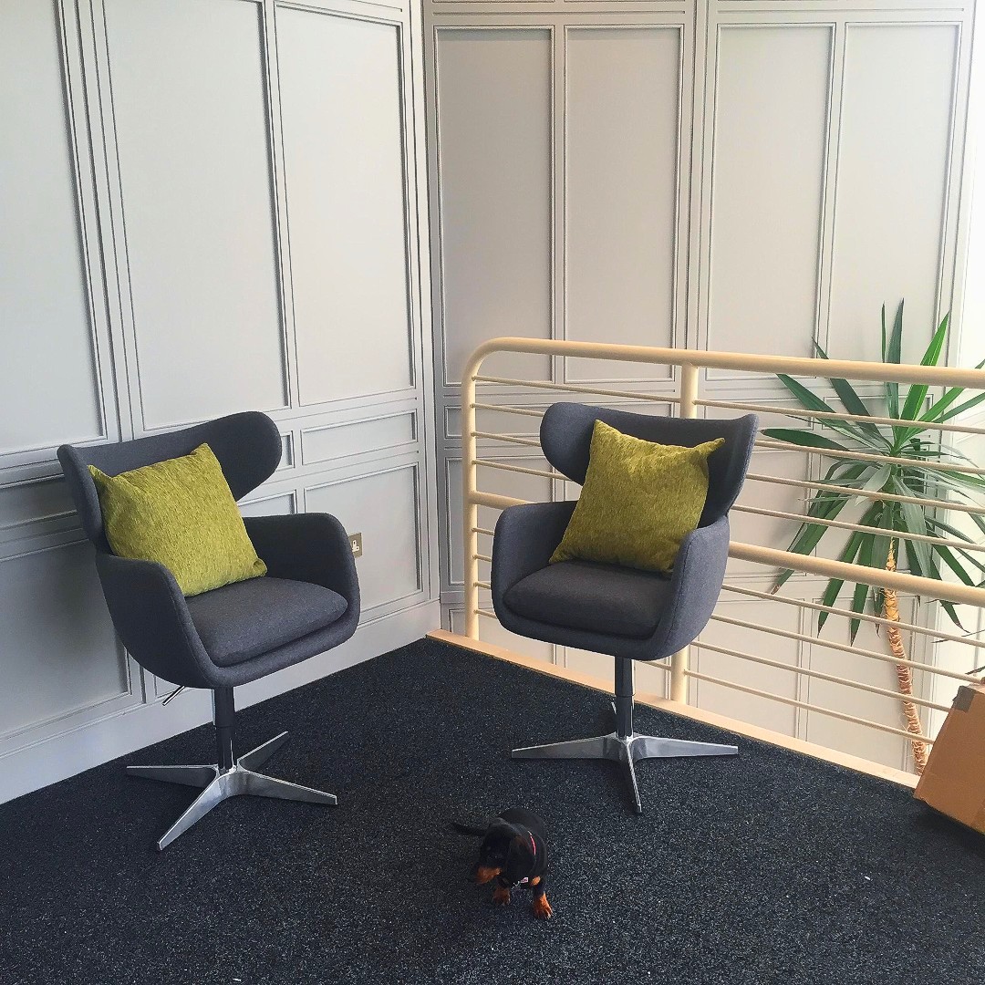 Puppy-watch at @CoVaultUK #EastKilbride! Daphne is so tiny, you could almost miss her relaxing in our stunning EK office spaces... 🐾 #dogsofinstagram #dachshund #officespace