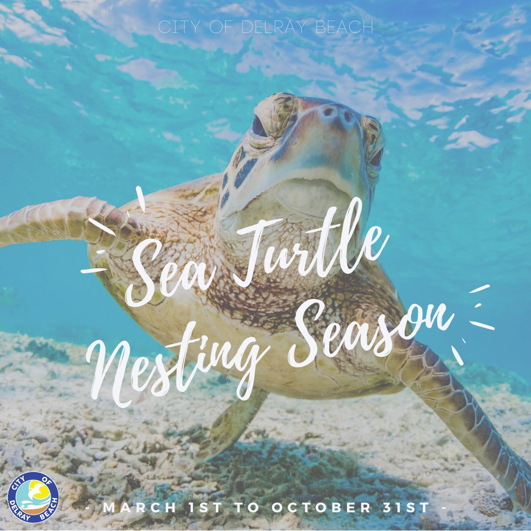 🐢  #SeaTurtles dig the dark! Every year from March 1 - Oct. 31, sea turtles come ashore to lay eggs on our beaches. Artificial lighting can cause hatchlings to become disoriented &amp; prevent them from finding their way to the ocean. 🐢